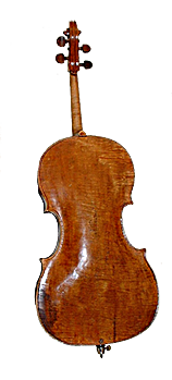 Back of cello