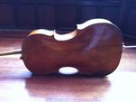 Cello back