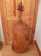 Cello back